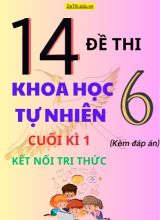 Tổng hợp 14 Đề thi KHTN 6 cuối Kì 1 - Bộ Kết Nối Tri Thức (Kèm đáp án)